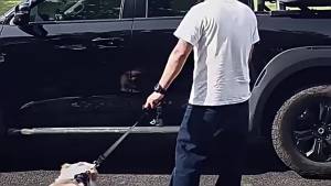【X】Pet Car Backseat Reflective Seatbelt Adjustable Nylon Dog Leash Safety Harness for Vehicle Travel
