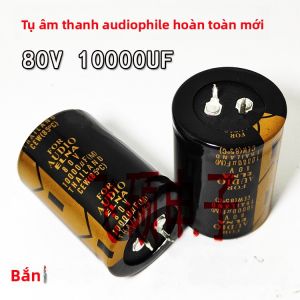 Máy Lọc Âm Thanh 2 Piezoelectric Ceramic Capacitors 50V 80V 100V 10000UF 15000UF 63V Độ Tin Cậy Cao Cho Công Suất Cao
