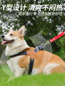 Dog Leash Vest Type Small Medium Size Dog Walking Rope Pulling Harness Bear Teddy Chest Strap Summer Dog Chain Leash