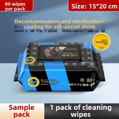 Interior Leather Care Car Wipes