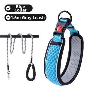 7o | Dog Traction Collar and Leash for Small to Medium Large Dogs