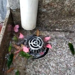 ตะแกรงระบายน้ำ ตะแกรงนอกอาคาร กันขยะ กันเศษใบไม้ สแตนเลส 304 ทรงโดม U365mall ตะแกรงกันขยะ ตะแกรงกันขยะ ราคา - Lazada