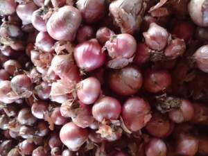 2kg BAWANG MERAH  super premium untuk bumbu isi
