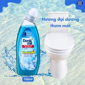 Tẩy bồn cầu toilet Denkmit WC-Reiniger dung tích 750 ml