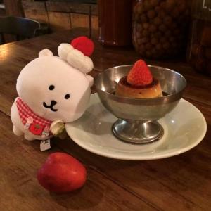 Tomato Doll Cotton Clothes Strawberry Saliva Towel 13/10CM Plush Doll Self-Deprecating Bear Doll Clothes Head Cover Decoration