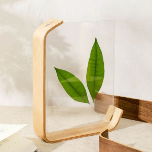 Walnut Nordic Style Acrylic Transparent Display Stand