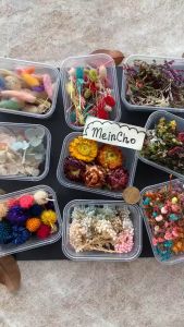 Paket Bunga Kering Mix MINI Dried Flower Scrapbook Scrap Book Resin Properti Foto Dekorasi Rustik
