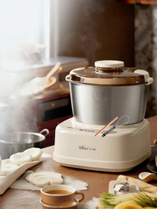 Bear | Fully Automatic Small Home Use Fermentation and Kneading Machine