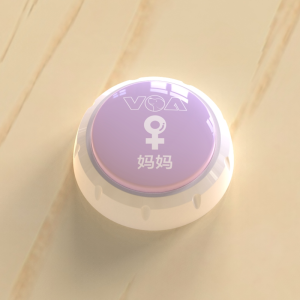 Nút Phát Tiếng Cho Chó Giao Tiếp Đồ Chơi Học Tập Luyện Tập Cho Thú Cưng Thú Vui Giải Trí Thiết Bị Hỗ Trợ Chăm Sóc Thú Cưng