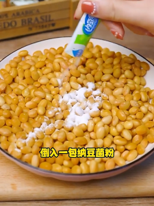 Bisour Natto Soybean Fermentation Starter Spores Agent Culture Flour Powder (1g)