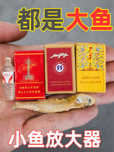 Đồ Câu Cá Mô Phỏng Mini Đồ Trang Trí Chụp Ảnh Đồ Dùng Du Lịch Ngoài Trời Đồ Dùng Câu Cá Đồ Dùng Câu Cá Nhỏ Đồ Dùng Câu Cá Mới