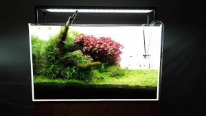 Lampu Gantung Aquascape Aquarium 100cm Yamano S-1000 (90-100cm)