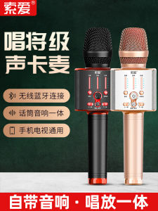 Handheld One-piece Karaoke Sound System SOAIY Small Bee Amplifier Microphone Audio Integrated Portable Loudspeaker