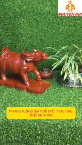 Tượng Trâu Phong Thủy Gỗ Hương Đứng Núi Tiền 31x13x20cm – Đế Ghép Trang Trí Phòng Khách Nguyễn Gia