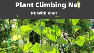 Plants Climbing Net Garden Nylon Trellis Netting Support Loofah Cucumber Vine Jaring Tanaman Plastik Alat Berkebun