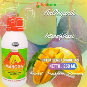 Pupuk Buah Mangga Super Lebat / Pupuk Buah Mangga Cepat Berubah / Pupuk Penguat Buah Mangga / Pupuk Pelebat Buah Mangga / Pupuk Cair Untuk Buah Mangga