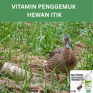 Vitamin Penggemuk Itik Alami 250ml Nafsu Makan Naik Bobot Cepat Bertambah Maksimalkan Penggemukan