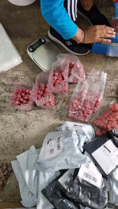 Racun Tikus Antikus BioVista Brodifacoum Saiz 50g 250g 500g 1kg Umpan Tikus Rumah & Kilang