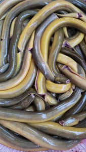 Lươn Mần Sạch Tươi Khay 500gr (giao hảo tốc 2h)