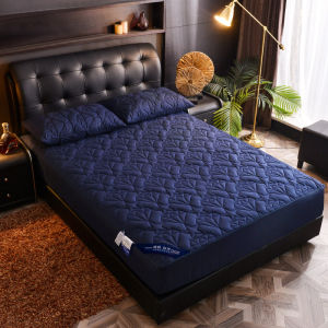 Waterproof Bed Canopy Six-Sided Full Wrap Zipper Cotton Insert Thickened Single Piece Bed Cover Mattress Protector Pure Cotton