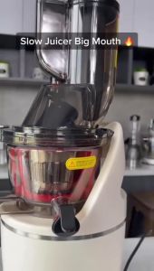 Slow Juicer Ecohome ESJ-999BM Big Mouth