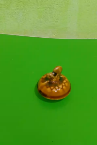 Combo 10 nắp bình trà kiểu nam bộ men nâu