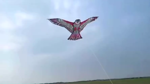 1.1m Giant Eagle Kite Easy to Fly Kids Outdoor Toys Outdoor Fun Sports Bird Repelling Kite
