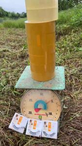 DÙ PE CÂU CÁ CÓ LÕI CÁC BON MÀU NÂU DÀI 30 MÉT SÚC TẢI CỰC KHỎE