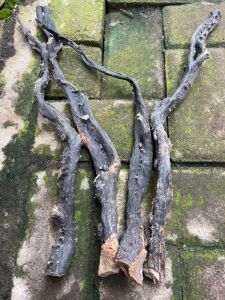 Bahan Akar Bahar Untuk Kerajinan Body Hitam Size Jumbo