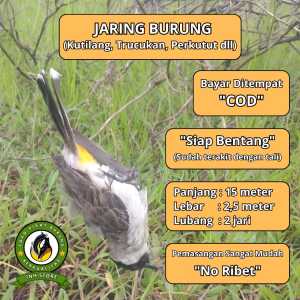 JARING KUTILANG JARING CANGKURILANG JARING GENTILANG JARING 2 INCI JARING 2 IN JARING 2 INCHI JARING BURUNG KUTILANG JALA PIKAT KUTILANG JALA PUKAT KUTILANG JARING JALA TILANG JALA JEBAK BURUNG KUTILANG JALA JEBAK JARING BURUNG HITAM JARING