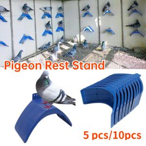10Pcs/Set Pigeon Rest Stand Parrots Perches Frame Dove Dwelling Birds Perches Roost Poultry Plastic Stand