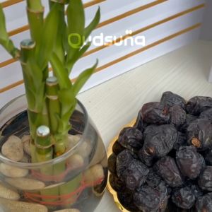 Kurma Ajwa Premium Al Madinah Jaminan Asli Original Cocok Untuk Oleh Oleh Haji Dan Umroh