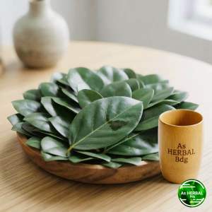 Daun cincau hijau segar cincau perdu 500 gram-az