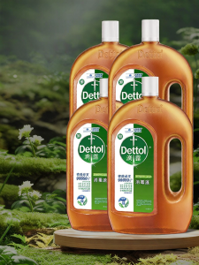 Dettol | Clothes & Floor Cleaning Disinfectant Antimicrobial Dustmite Removal