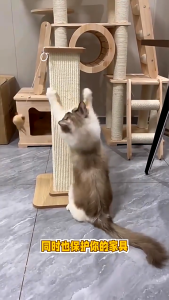 Papan Calar Kucing Tempat Cakar Kucing Tiang Garu Kucing Sisal Cat Scratching Board  Cat Tree Scratcher 貓抓板 不掉屑 貓抓柱