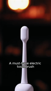 [LOCAL STOCKS] Laifen Wave Electric Toothbrush | 60° Oscillation & Vibration | Advanced Gum Care