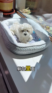 Pet Cooling Fiber Bed Universal Summer Cool Mat Pet Nest Ice Beans Large Dog Bed Mattress Cat Beds