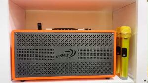 LOA KARAOKE AT T6 1 bass 16cm 1 treble 2 micro