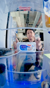 BAGUS Anti Bau Kulkas 40gr / Penghilang Bau Tidak Sedap Dalam Kulkas / Bagus BANDUNG