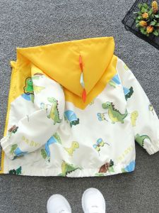 2024 New Arrival: Spring & Autumn Windbreakers & Hooded Tops