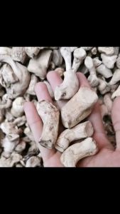 香菇脚ขาเห็ด   ขาเห็ดหอมแห้ง ขาเห็ดหอมแห้ง