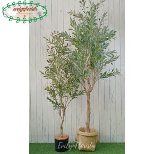 Pohon Hias Tanaman Artificial Zaitun Olive X3 T140 & T180 Latex Cover Anyaman Purun Handle Dekorasi Ruang Tamu