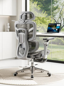 SAMEDREAM | Lumbar Support Ergonomic Chair