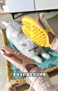 Pet Grooming Glove Comb Hair Fur Remover Deshedding Scrapper Cat Dog | Sarung Tangan Berus Bulu Haiwan Kucing | 撸猫手套猫咪去浮毛宠物洗澡按摩硅胶梳子除毛宠物用品狗狗脱毛梳