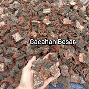 5Kg Kulit Pinus Cacah Pine Bark Media Tanam Anggrek