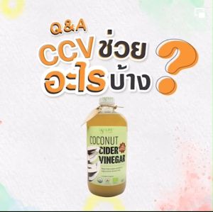 Coconut Cider Vinegar (USDA Organic) 480 ml - น้ำส้มสายชูหมัก ธรรมชาติจาก มะพร้าว ออร์แกนิก ไซเดอร์ CCV