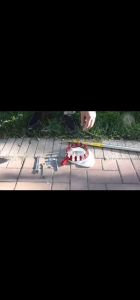 Fruit Picker: A Convenient Quick High-altitude Telescopic Fruit Picker & Adjustable Fruit Scissors