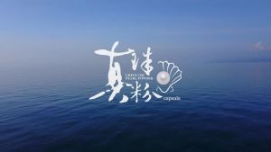 EXP 1/2028 Beauty小铺 - 千琦珍珠粉胶囊  Chien Chi Pearl Powder Capsule (60 capsules/box)