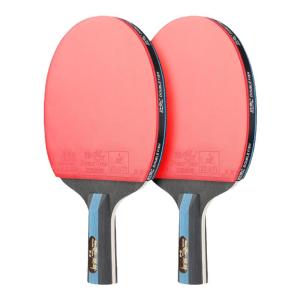 Double Fish | Student Beginner Professional Table Tennis Racket 5-star Rubber