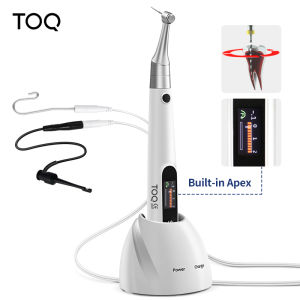 2 in 1 Dental Wireless Endo Motor Built in Apex Locator 360°Rotation Contra Angle Reciprocating Root Canal Instrument